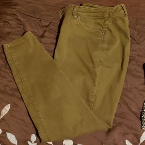 Lane Bryant Jeggings